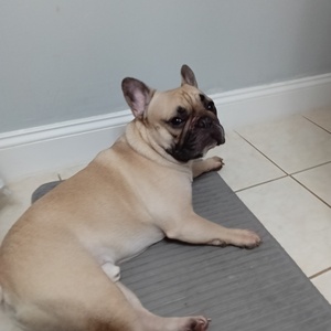 Fundraising Page: Jennifer Sellers